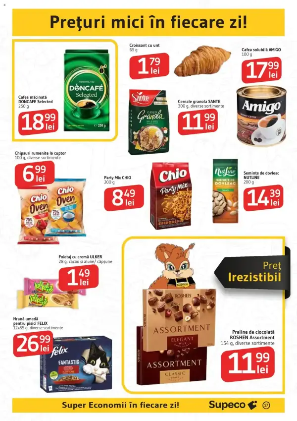 Pagina 17