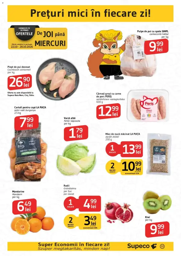 Pagina 13