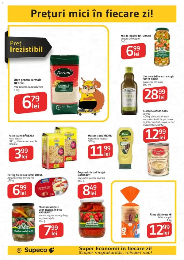 Pagina 16