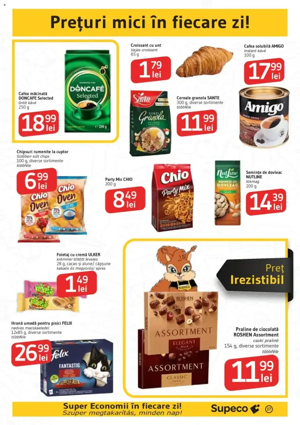 Pagina 17