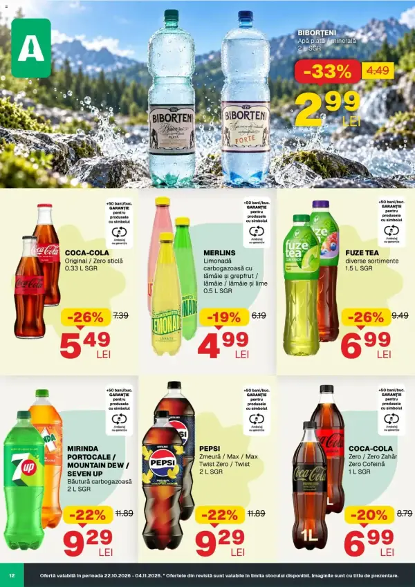 Pagina 12