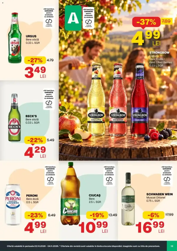 Pagina 13