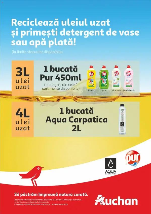 Pagina 31