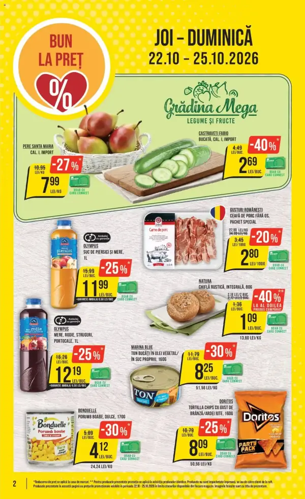 Pagina 2