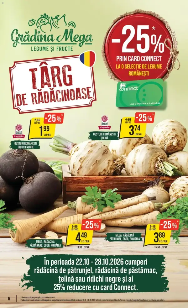 Pagina 6