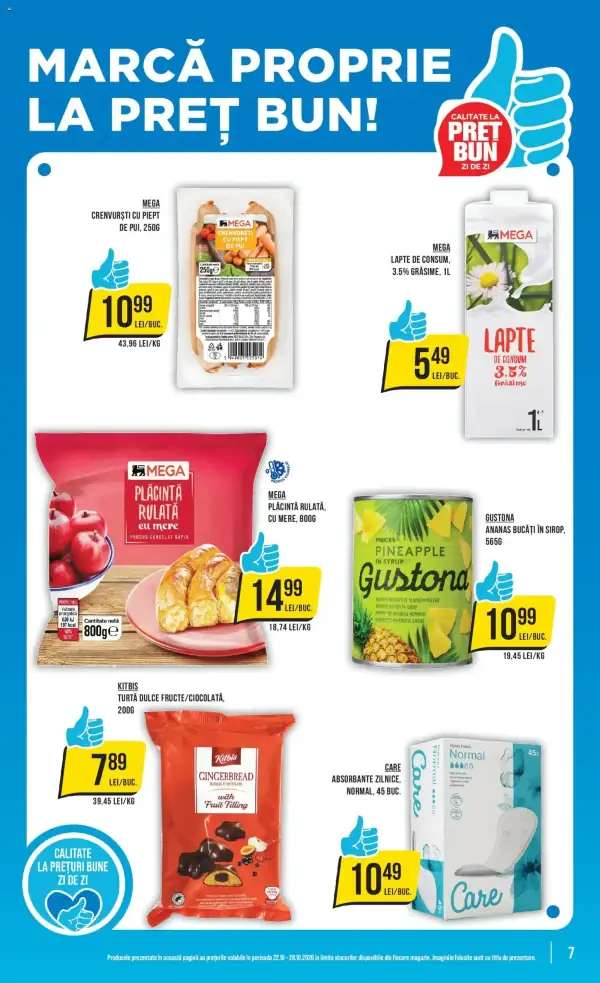 Pagina 7