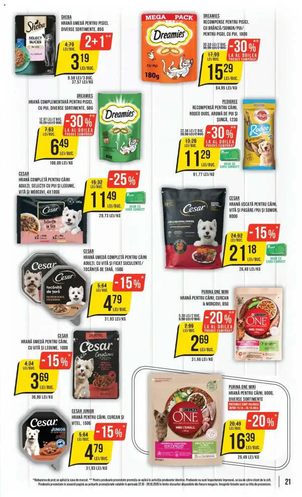 Pagina 21