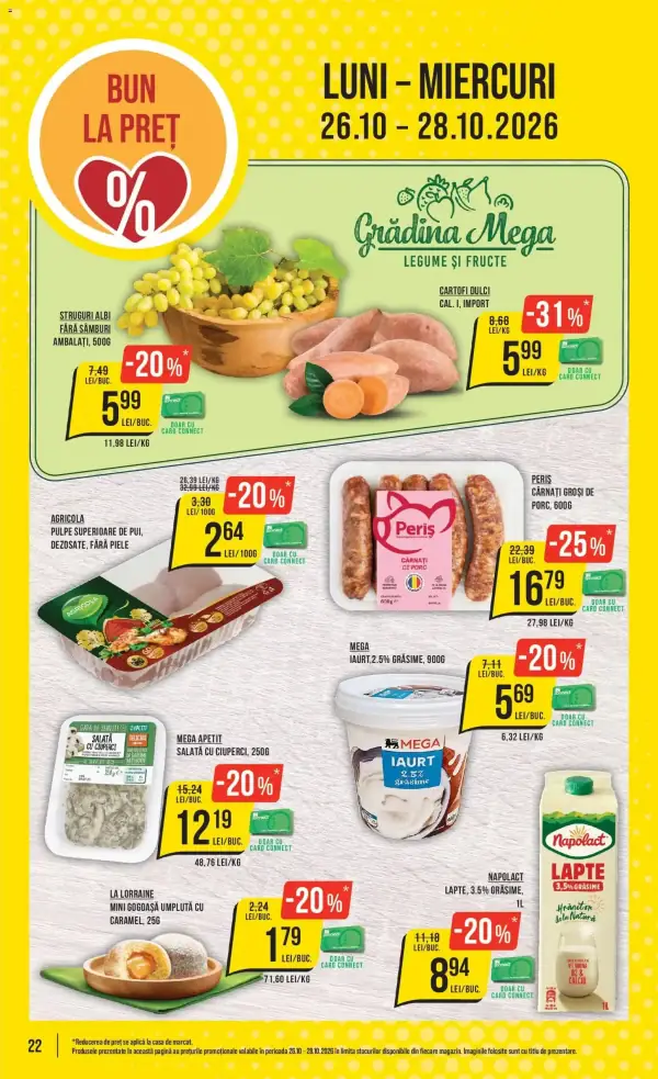 Pagina 22