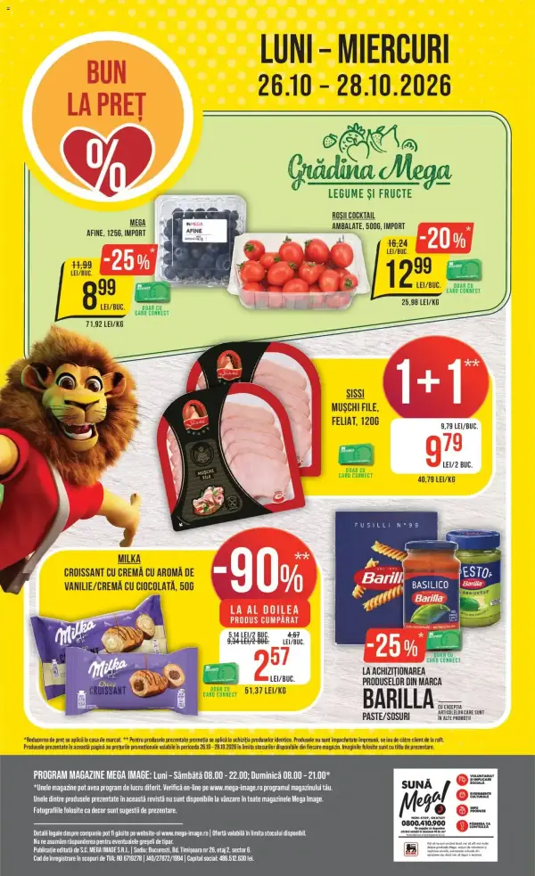 Pagina 24