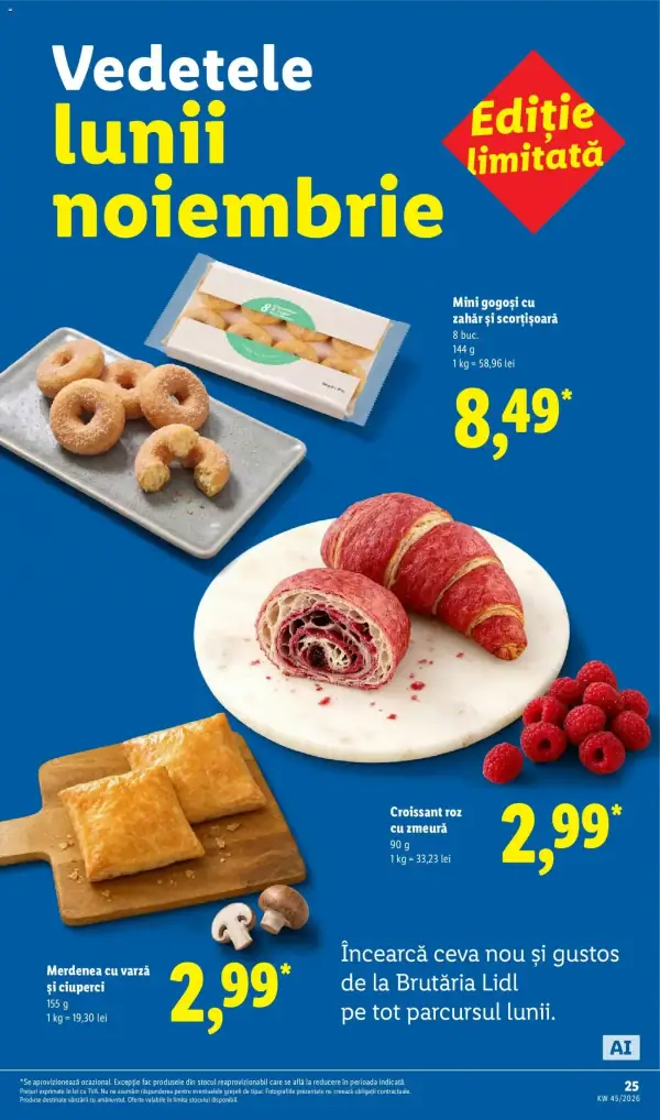 Pagina 19