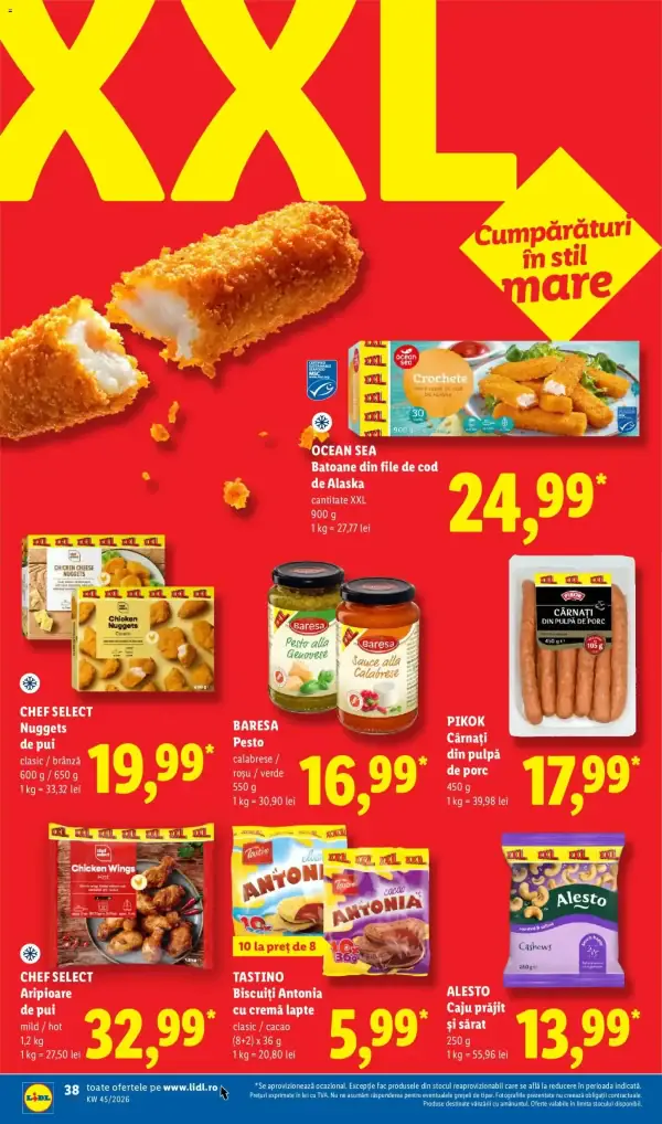 Pagina 29