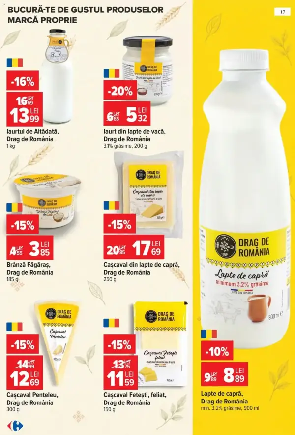 Pagina 13