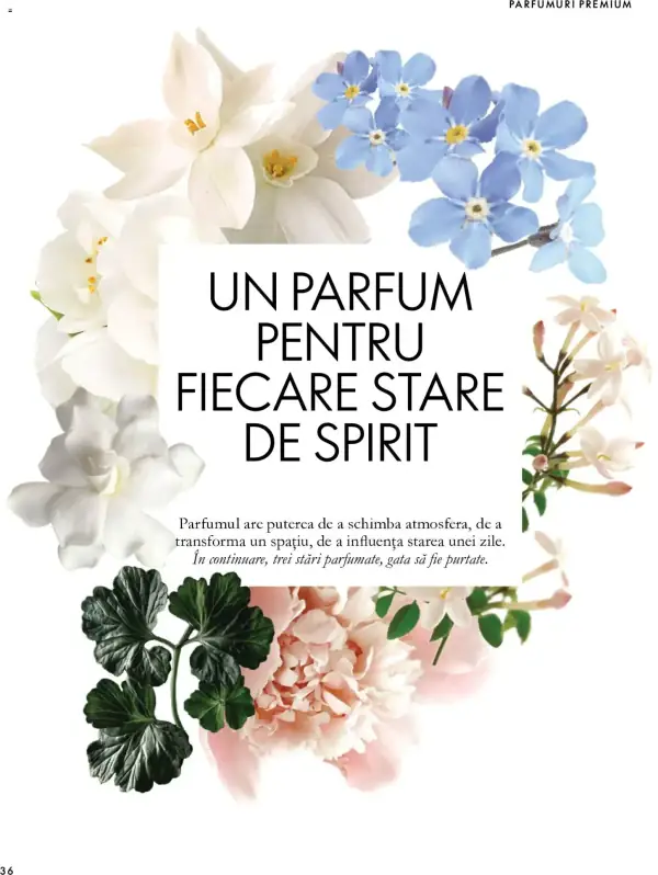 Pagina 27