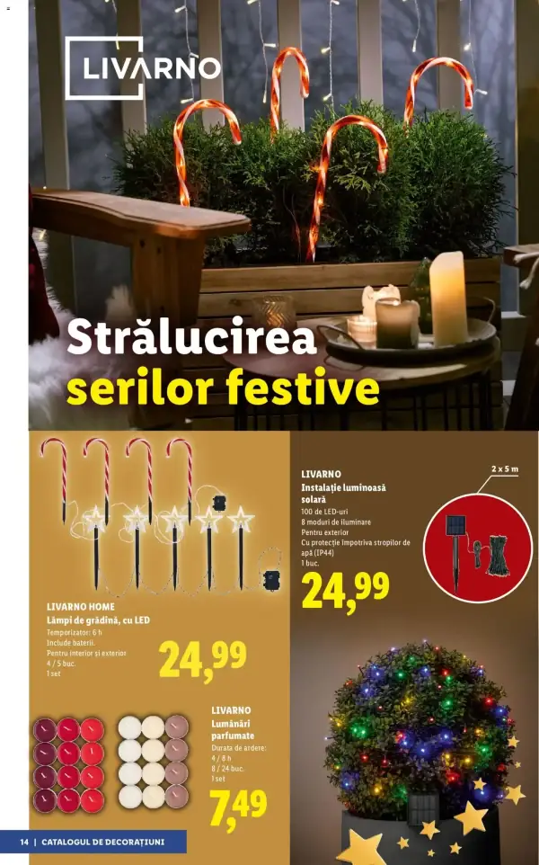 Pagina 11