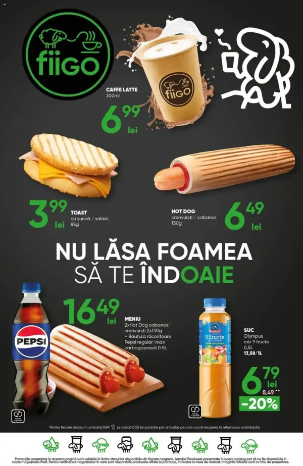 Pagina 12