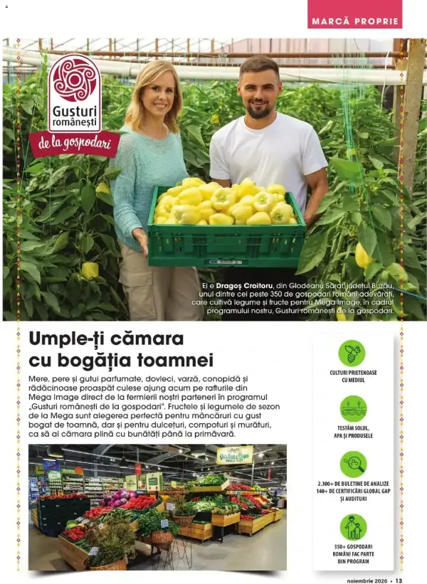 Pagina 10