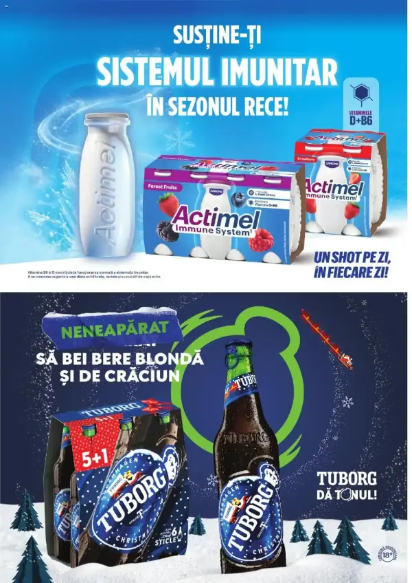 Pagina 12