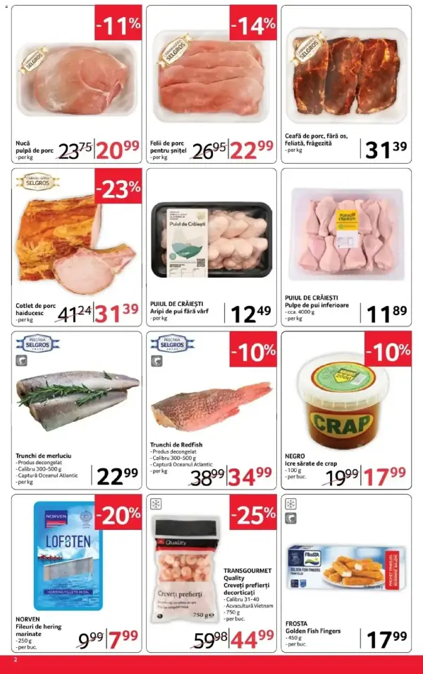 Pagina 2