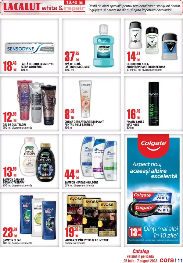 Pagina 11