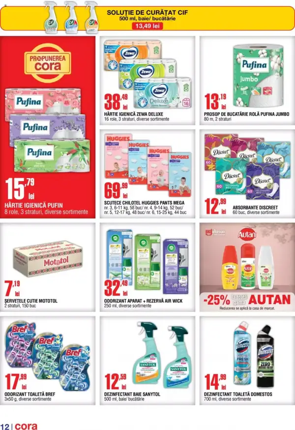 Pagina 12