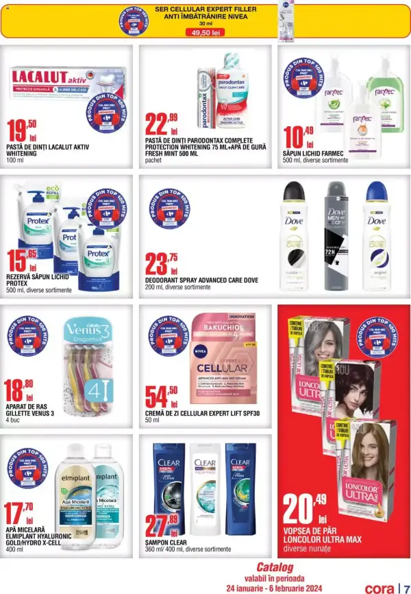 Pagina 7