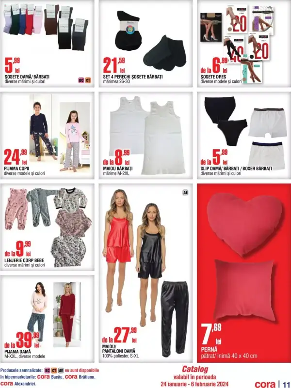 Pagina 11