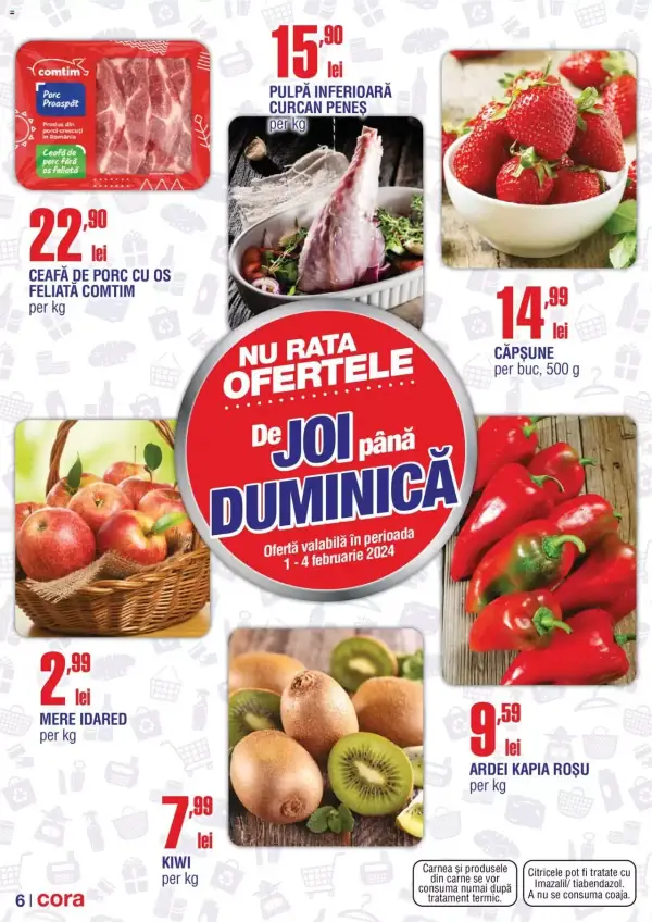 Pagina 6