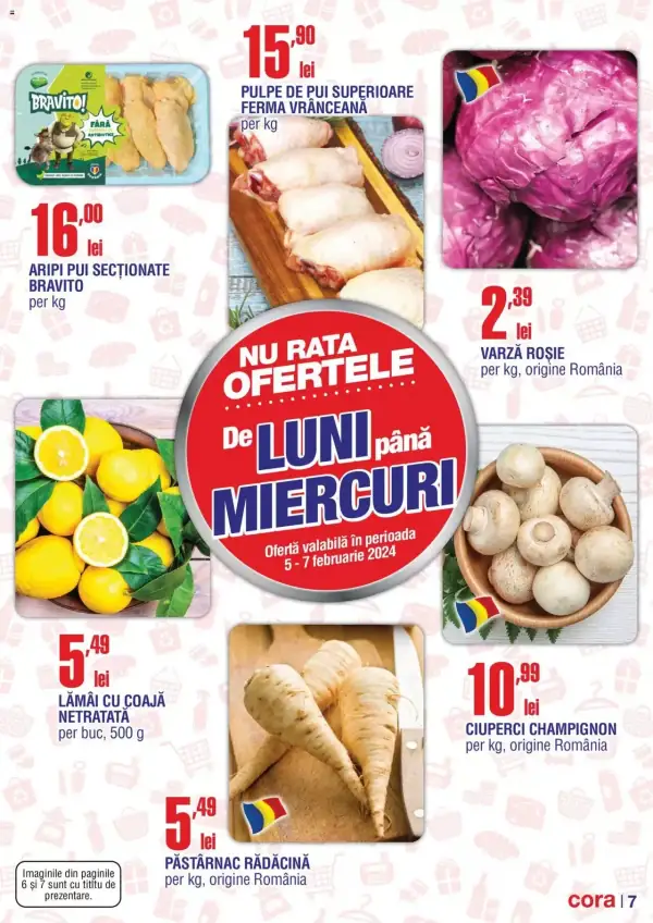 Pagina 7