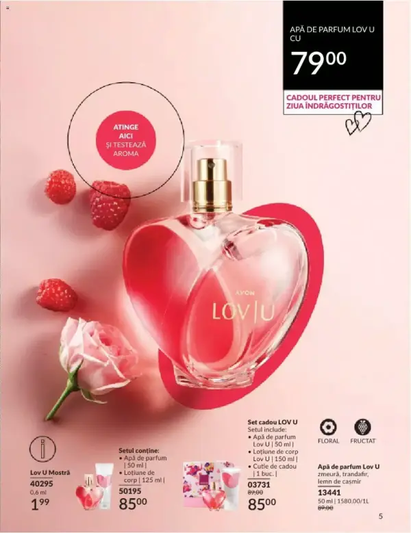 Pagina 7