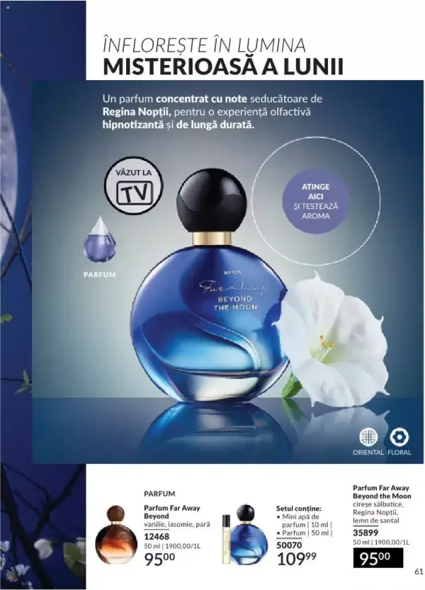 Pagina 65