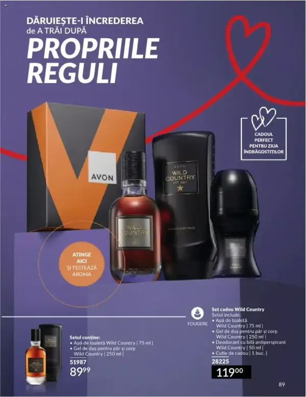 Pagina 93