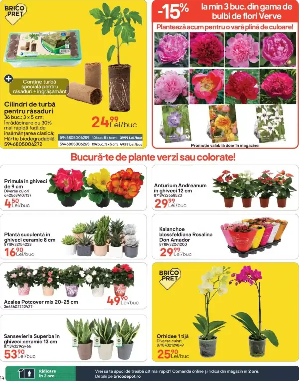 Pagina 14