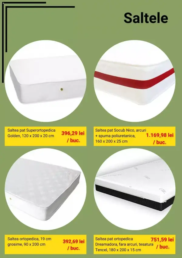 Pagina 5