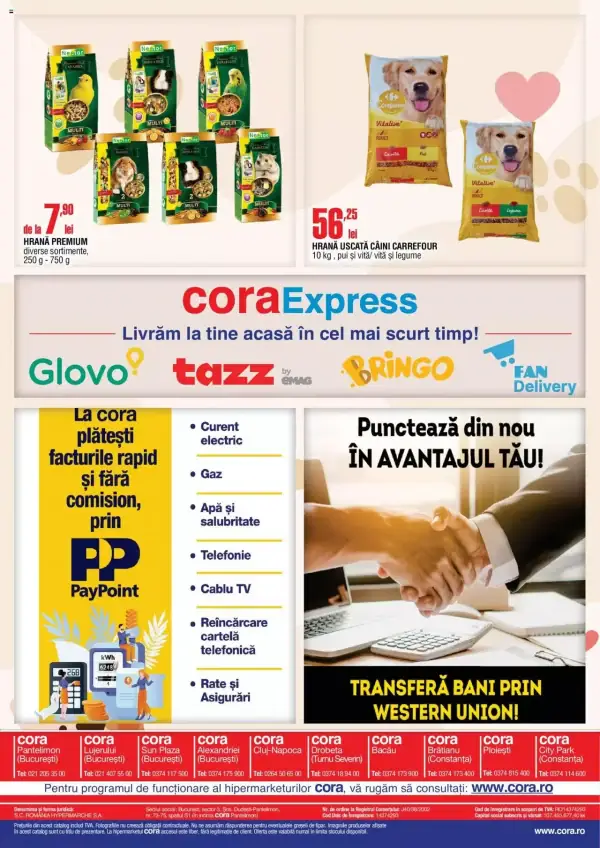 Pagina 8