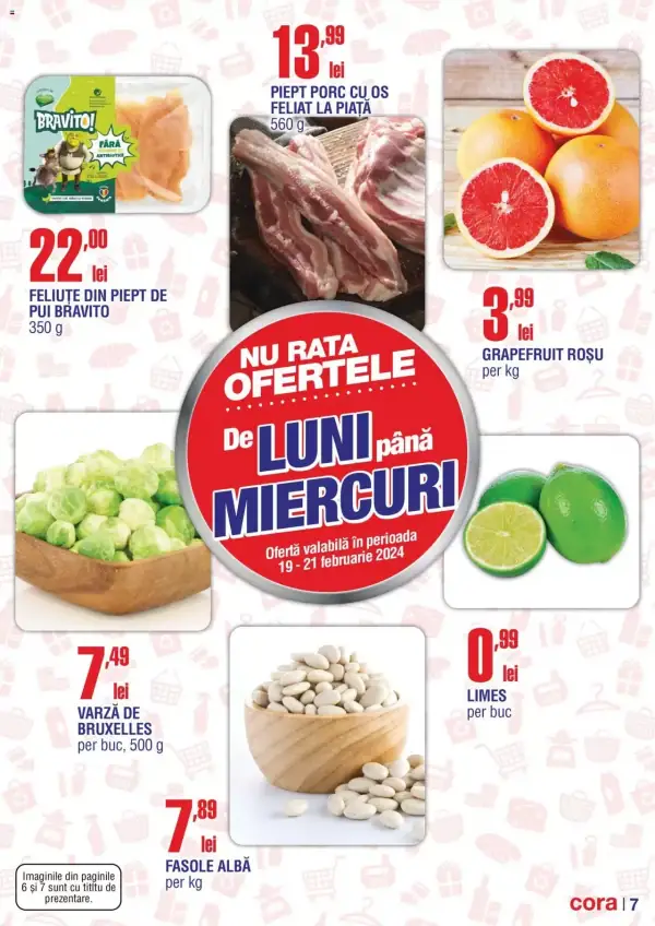Pagina 7