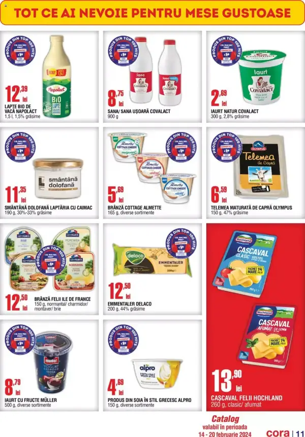 Pagina 11