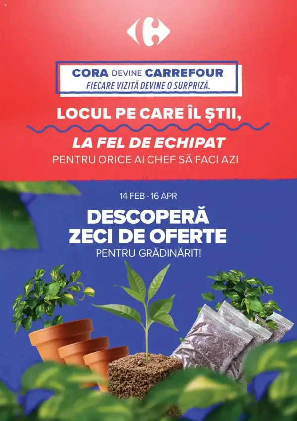 Pagina 17