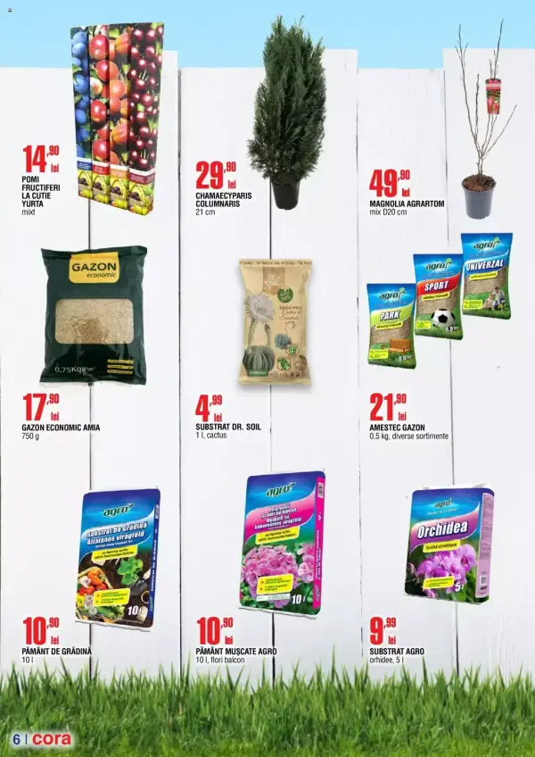 Pagina 5