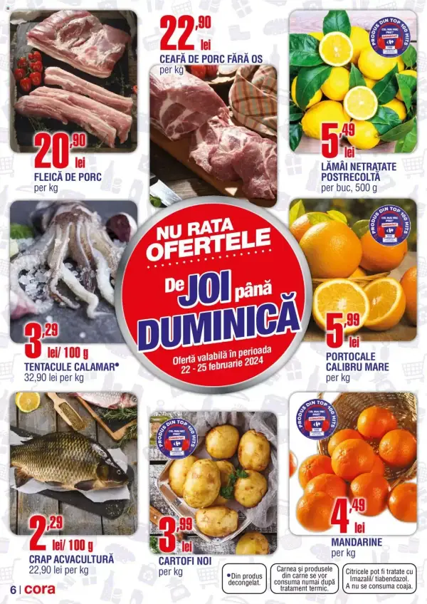 Pagina 6