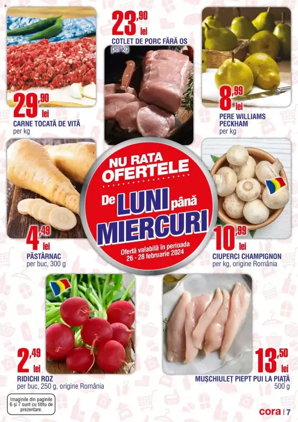 Pagina 7