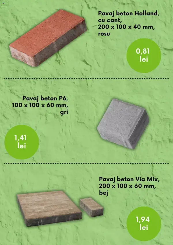 Pagina 7