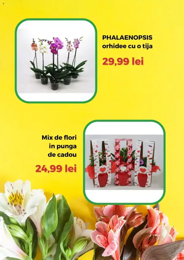 Pagina 6