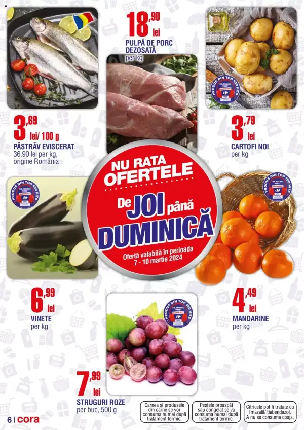 Pagina 6