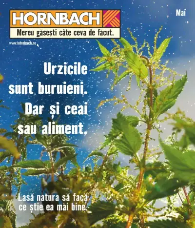 Hornbach: Ofertă actuală din 02.05.2023