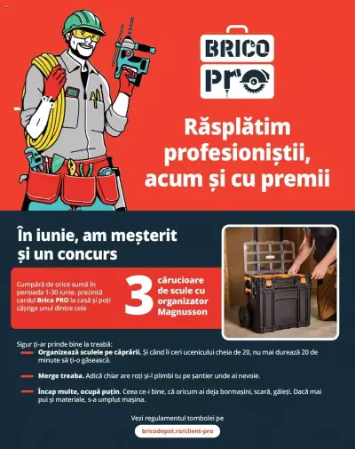 Brico Depot: Ofertă actuală din 01.06.2024