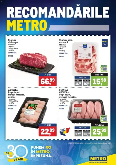 Catalog Metro Supermarketuri