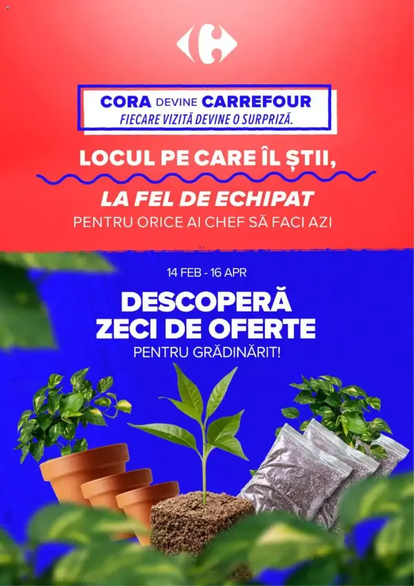 Pagina 12