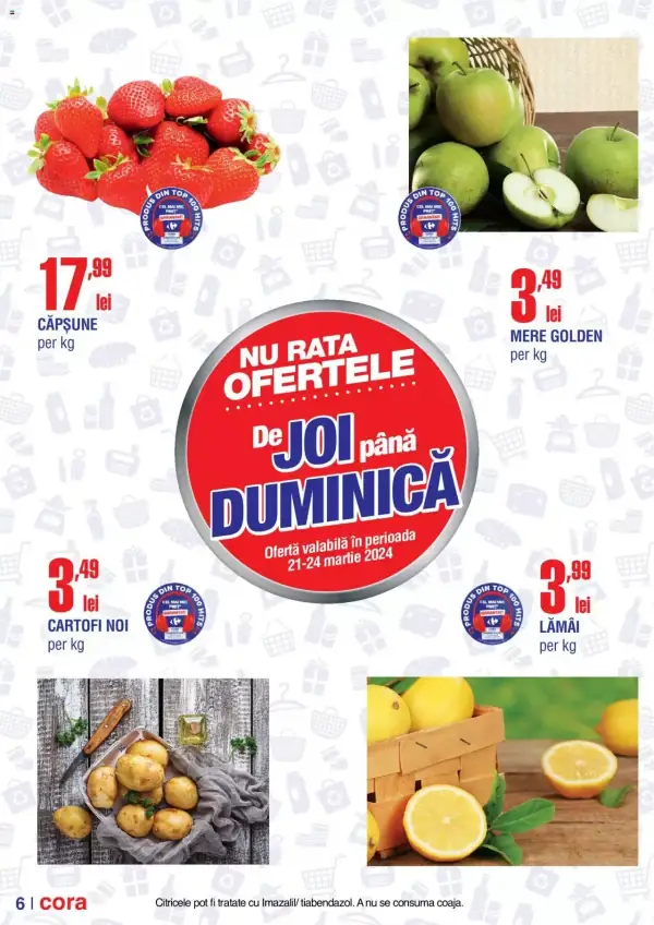Pagina 6