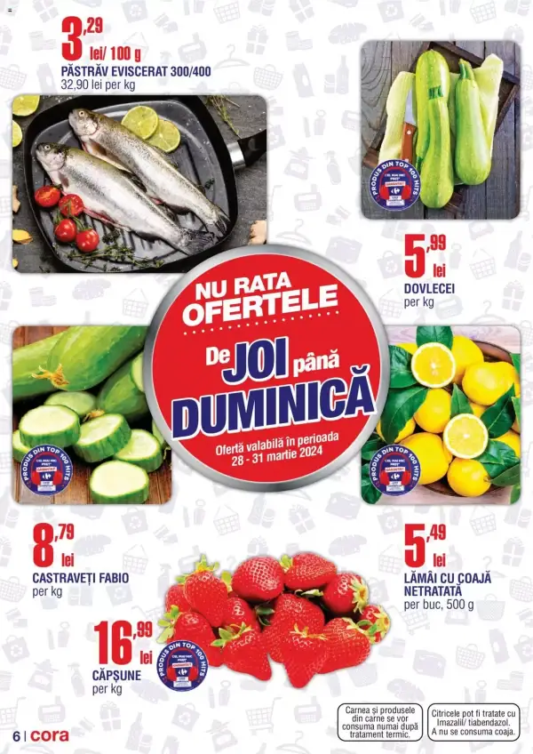 Pagina 6
