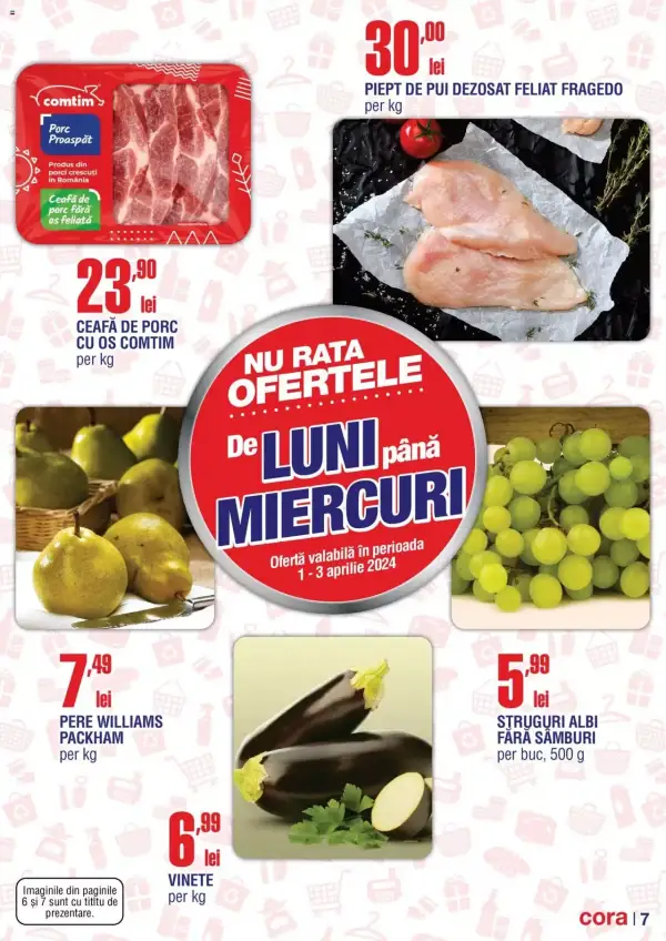 Pagina 7